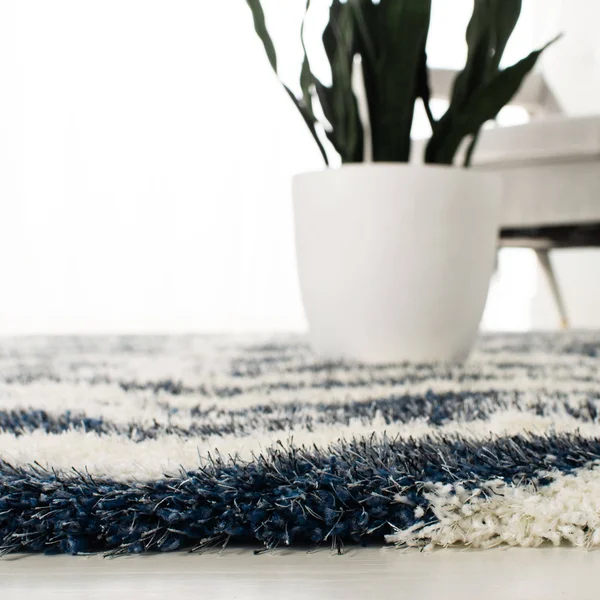 Safavieh Montreal Shag SGM846B 5&3x22 x 7&6x22 Ivory, Grey Area Rug