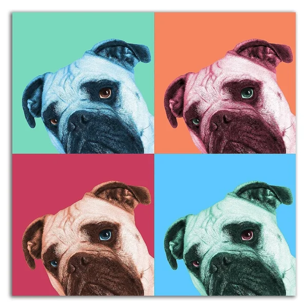 14x22 x 14x22 Que Pasa Pop by Jon Bertelli Print on Canvas