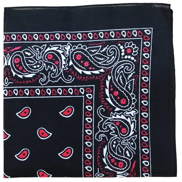 Qraftsy Paisley 100% Cotton Non Fading Print Double Sided Bandanas - Bulk Lot - 35 Pack, Size: One size, Black