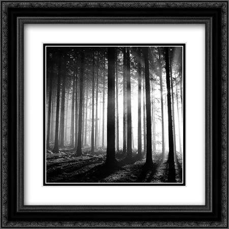 Wood Light 2x Matted 20x20 Black Ornate Framed Art Print by PhotoINC Studio