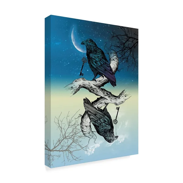 Trademark Fine Art 'Raven Night and Day' Canvas Art by Rachel Caldwell - Size: 35 x 47