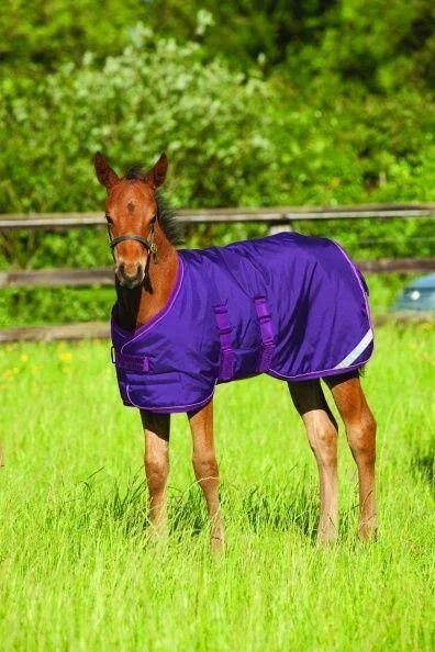 Amigo Foal Turnout Blanket