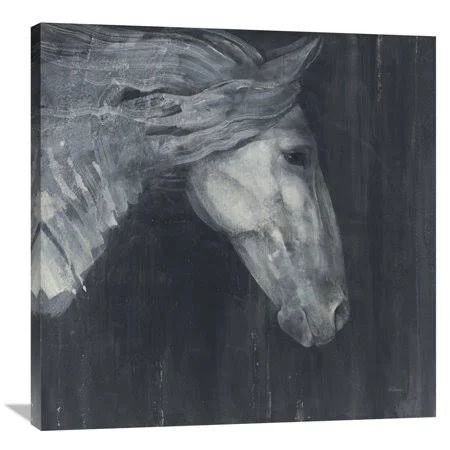 Global Gallery Albena Hristova 'Midnight' Canvas Wall Art - Size: 36 x 36