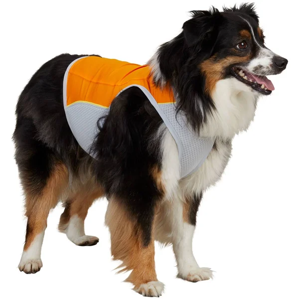 Jet Stream Cooling Dog Jacket - Duluth Trading Company