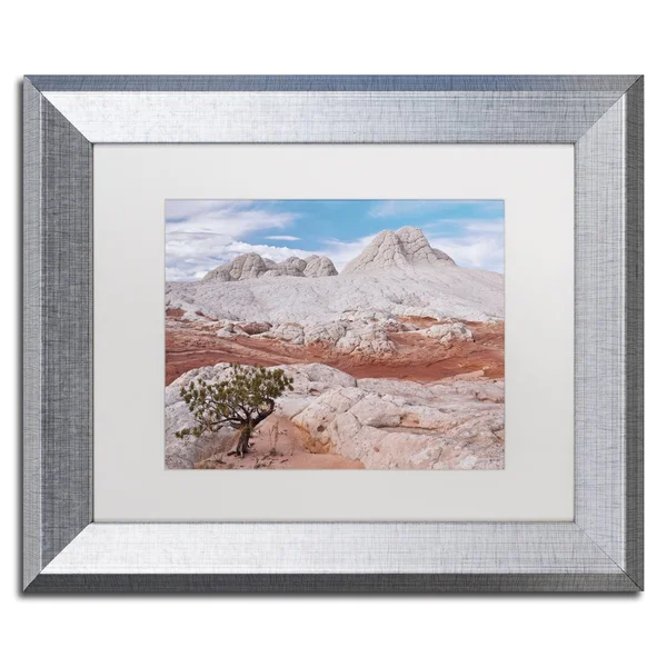 Trademark Fine Art Tree on Brain Rocks by Michael Blanchette Framed Photographic Print - Matte Color: White, Size: 16x22 H x 20x