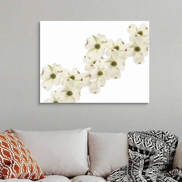Dogwood Beauty, Canvas Wall Art, 40x30, Great Big Canvas