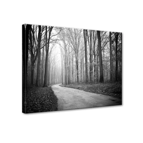 Road to Change Gallery Wrapped Canvas Art by Norman Wyatt Home 36 x 48