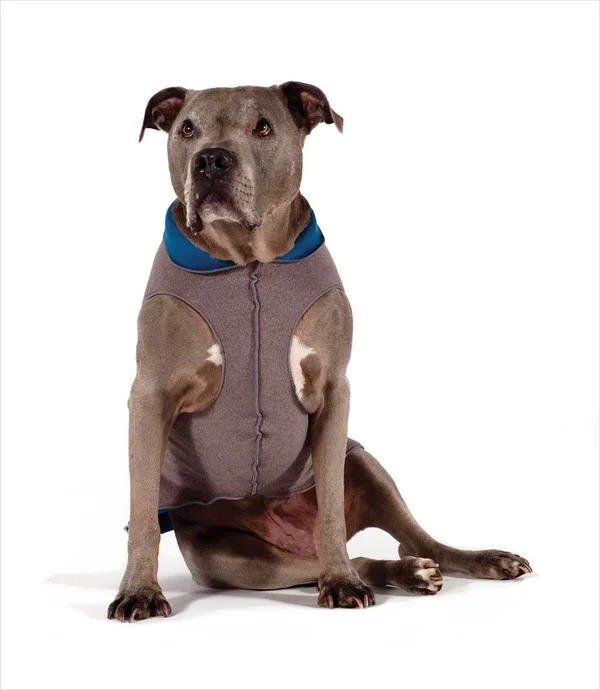 Gold Paw Duluth Double Fleece Pullover Charcoal/Marine 6 DF6CHM