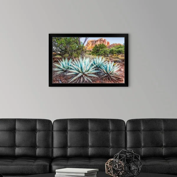 Agave Plants and Cathedral Rock - Sedona AZ, Black Framed Wall Art, 30x20, Great Big Canvas