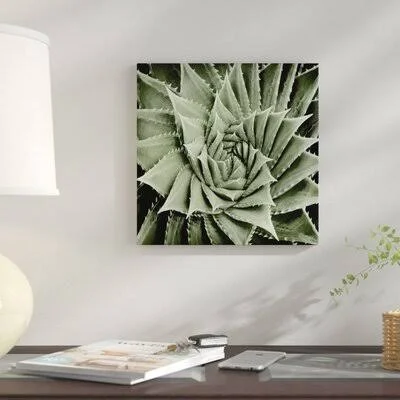 &Succulent I& Graphic Art Print on Canvas East Urban Home Size: 37x22 H x 37x22 W x 1.5x22 D