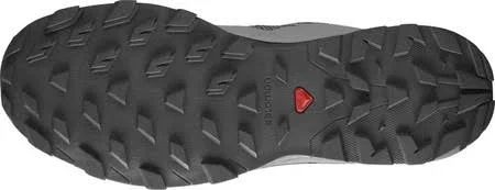Salomon Men's Outline GTX Hiking, Alloy/Black/Evening Primrose