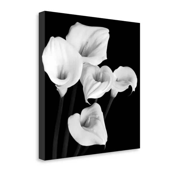 20x22 x 20x22 Harmony by Michael Faragher Fine Art Giclee Print