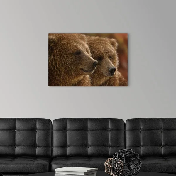 Brown Bears - Lazy Daze - Canvas Wall Art, 30x20, Great Big Canvas