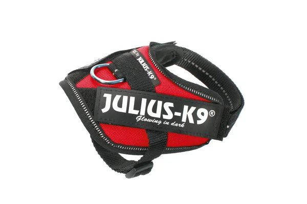 Julius-K9 IDC Powerharness Dog Harness - Blue, Size 2
