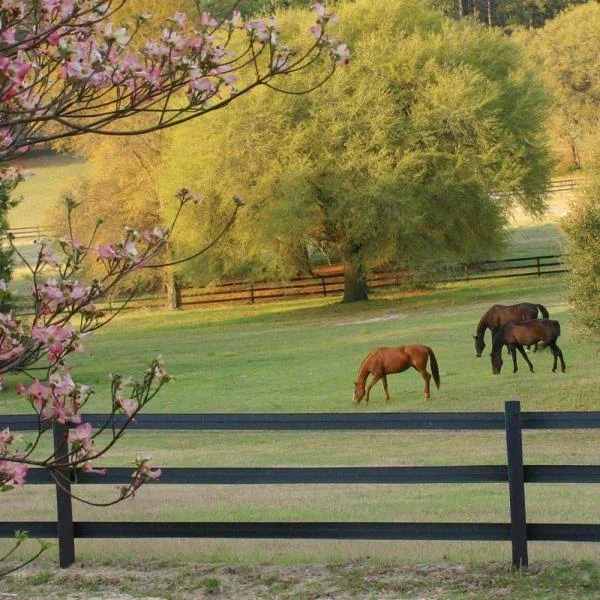 CenFlex Flexible Horse Fence Rail - 330 ft. Roll - Black