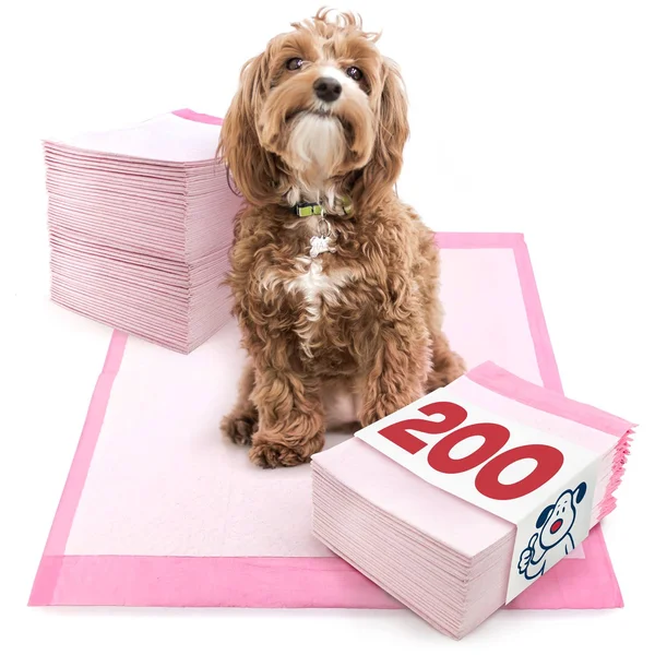 Valuepad Ultra Puppy Pads - Medium 23x24 inch, 200 Count