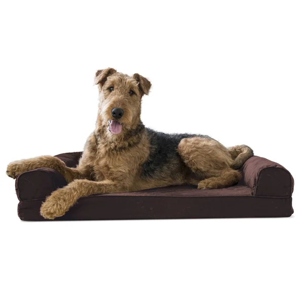 FurHaven Memory Foam Quilted Sofa-Style Pet Bed - Coffee - Large