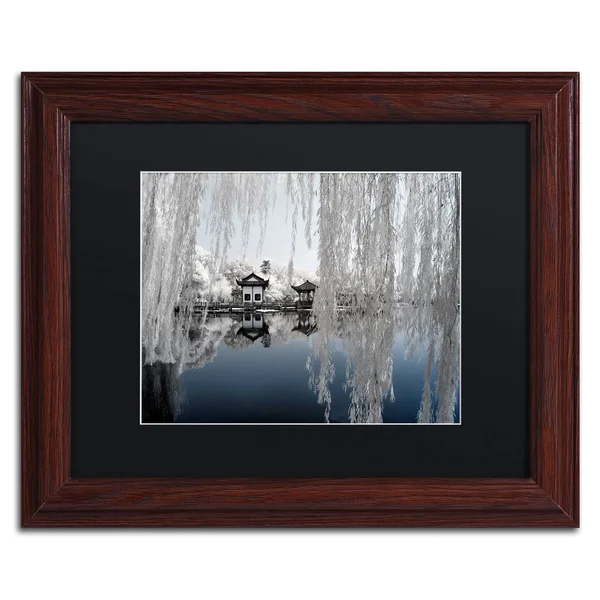 Trademark Fine Art Blue Lake by Philippe Hugonnard Framed Photographic Print - Matte Color: Black, Size: 16x22 H x 20x22 W x 0.5