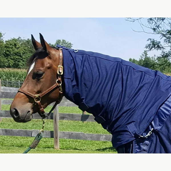 Back on Track Mesh Neck Cover