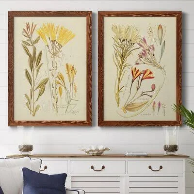 Antique Botanical Sketch IVPremium Framed Print - Ready to Hang August Grove Format: Maple Framed Canvas, Matte Color: No Matte