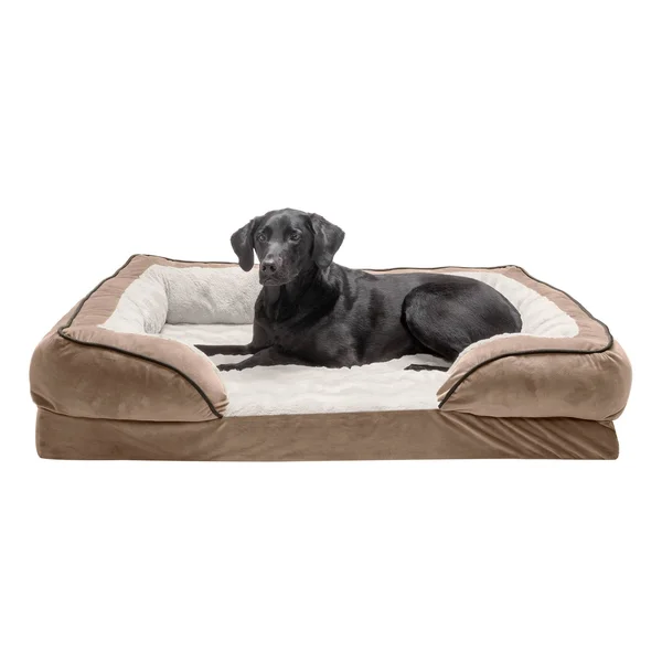 FurHaven Velvet Waves Perfect Comfort Orthopedic Sofa Dog Bed - Jumbo - Brownstone