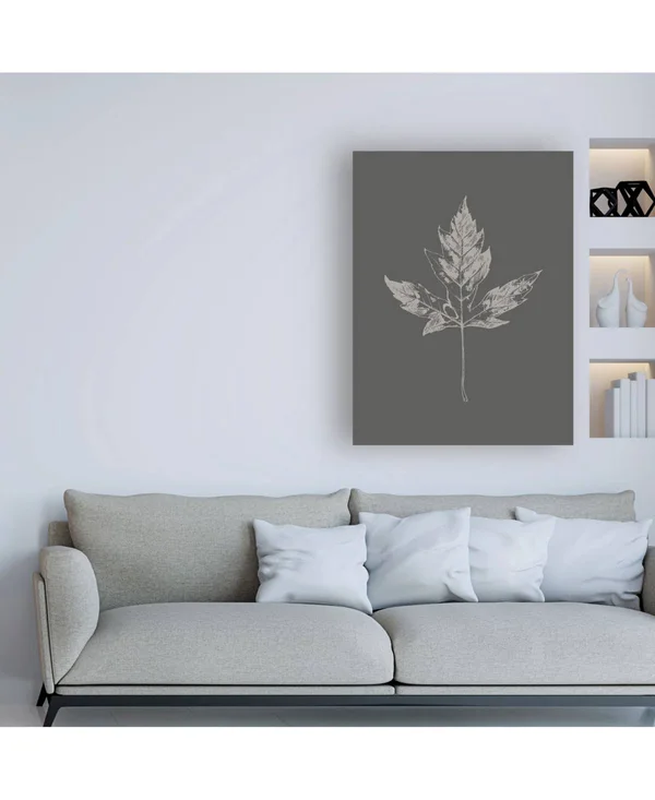 Trademark Fine Art Ic01302-C2432Gg Design Fabrikken 'Botanica 5 Fabrik