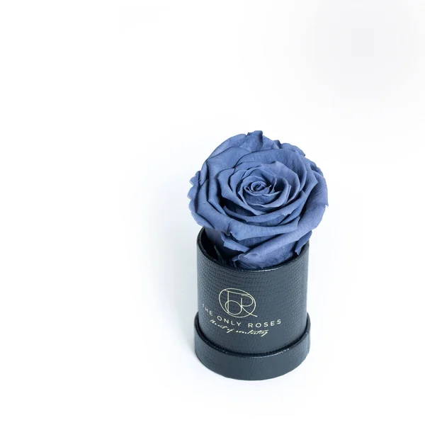 Single Gray Everlasting Preserved Rose in Leather Petite Round Shaped Rose Box - Rose Hat Box, Preserved Rose, Forever Roses, Ever