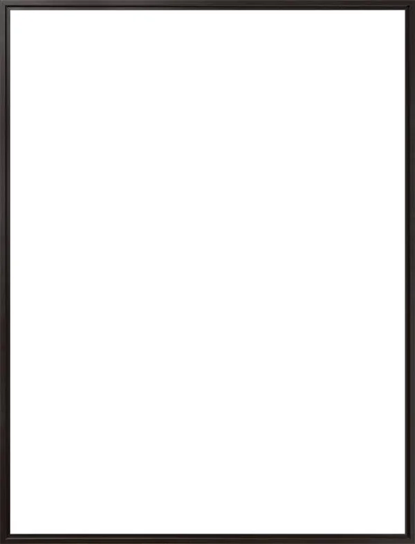 Black Floater Frame 36x22 x 48x22 Museum Frame, 36 x 48