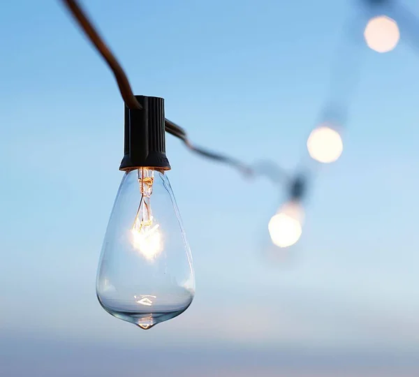Edison String Lights - 20 Bulb Strand - String Lights - Decorative Lights