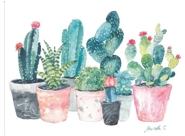 Cactus Canvas Art by Marietta Cohen 32x24 Fineartcanvas