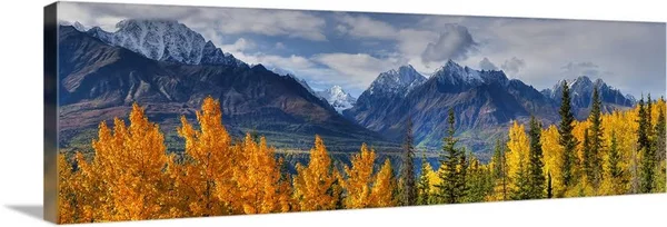 Panoramic View of The Fall Foliage and Snowcapped Chugach Mountains - Alaska, Canvas Wall Art, 36x12, Great Big Canvas