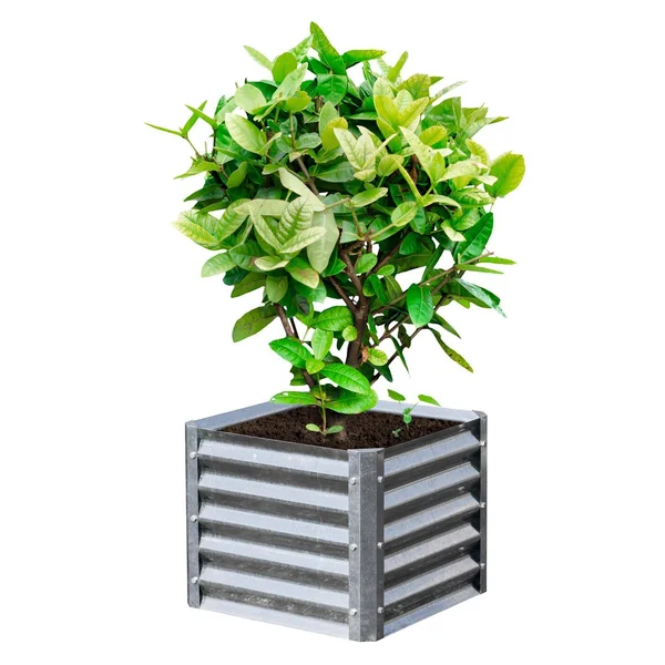 EarthMark High Galvanized Steel Raised Garden Bed, Silver