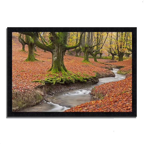 Tangletown Fine Art 40x22 x 59x22 Otzarreta Beech on A Red Carpet Framed Photograph Print