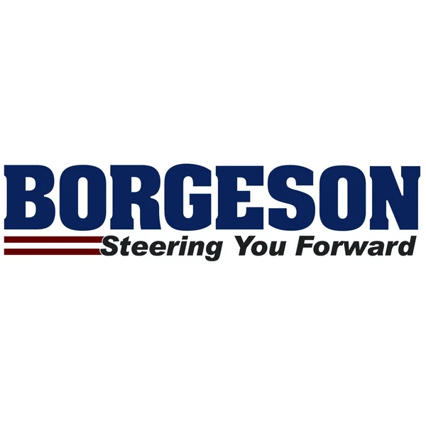 Borgeson 800310 Power Steering Pump