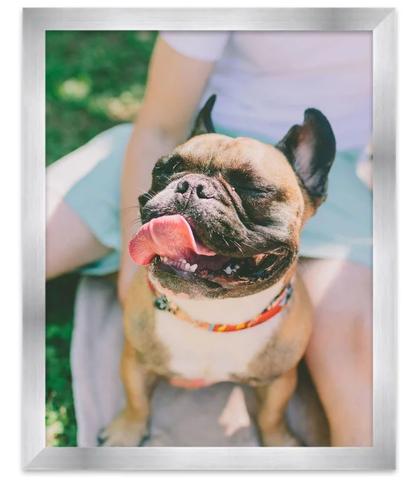 CustomPictureFrames 53x13 Silver Stainless Steel Wood Picture Frame - with Acrylic Front and Foam Board Backing