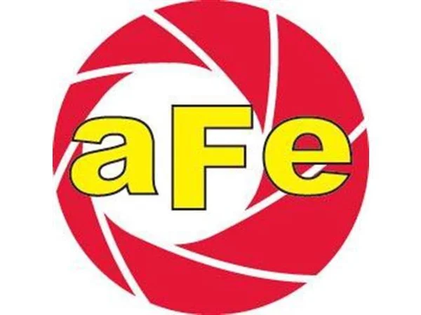 aFe 11-10107 MagnumFLOW Pro Dry S Air Filter