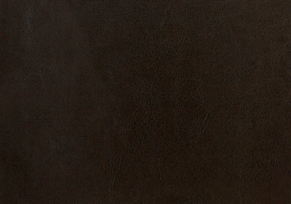 27.5x22 x 22.75x22 x 31.5x22 Charcoal - Foam, Solid Wood, Leather-Look - Accent Chair