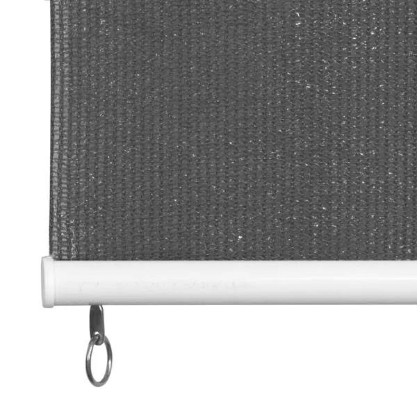 vidaXL Outdoor Roller Blind 100x140 cm Anthracite