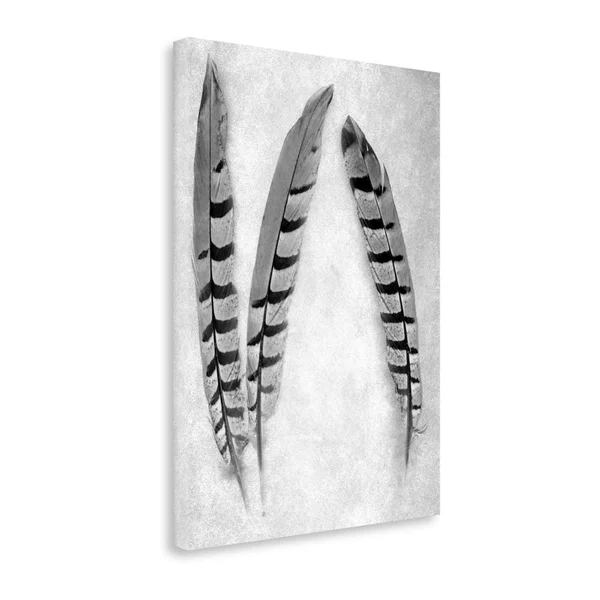 Tangletown Fine Art Feather B - W, 1x22 by Alan Blaustein, Giclee Print on Gallery Wrap Canvas, 25x33x22
