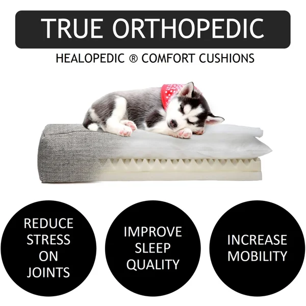 Club Nine Pets Belmont Orthopedic Dog Bed - Medium, Linen.