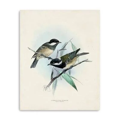 Antique Birds VII Canvas Art Print - 16x20 in.
