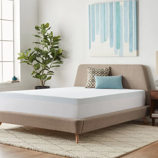 Lucid Comfort Collection 3-Inch Gel Memory Foam Mattress Topper with Premium Waterproof Mattress Protector - Size: Queen