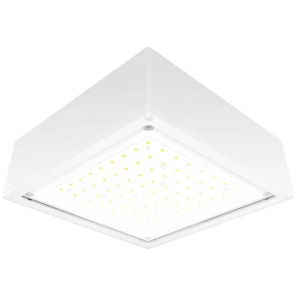 RAB Lighting 20W VANLED Cool LED Flat Lens White Canopy Light