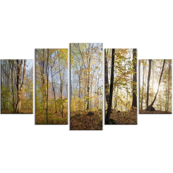 Designart &Green Autumn Forest in Morning& 4 Piece Wall Art on Wrapped Canvas Set