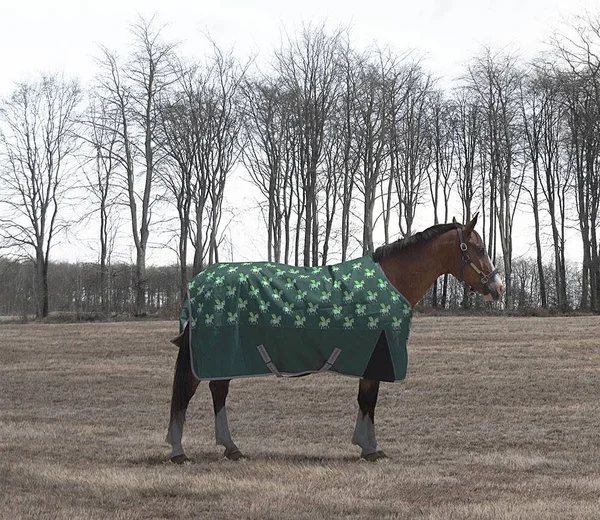 TuffRider 1200D Ripstop 220 GMS Polyfill Pony Horse Print Standard Neck Two Tone Turnout Blanket