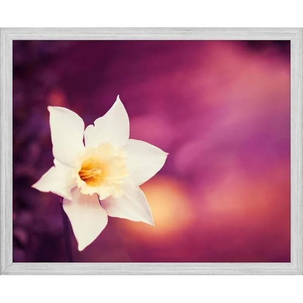 Easy Art Prints Carolyn Cochrane's 'Outburst' Premium Canvas Art - 16 x 20 - Brazilian Barnwood Frame
