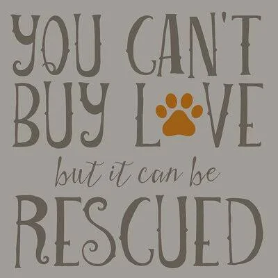 You Cant Buy Love But It Can Be Rescued by Brandi Fitzgerald - Textual Art Print Trinx Size: 18x22 H x 18x22 W x 1.5x22 D - Forma