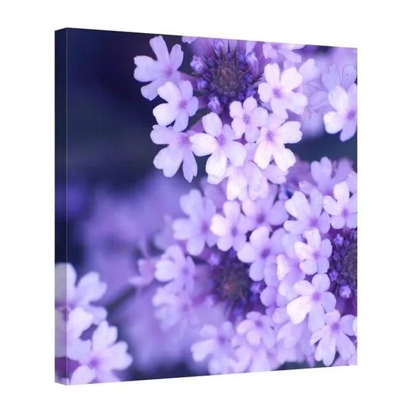 Easy Art Prints PhotoINC Studio's 'Purple Flowers' Premium Canvas Art (30 x 30)