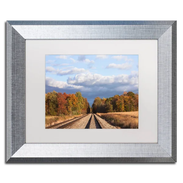 Trademark Fine Art &Wellington Tracks& by Jason Shaffer Framed Photographic Print - Size: 11x22 H x 14x22 W x 0.5x22 D, Matte Co
