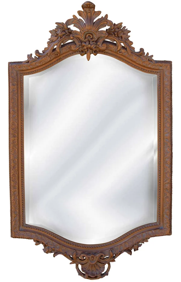 Hickory Manor House 18th Century French Mirror - Bronze